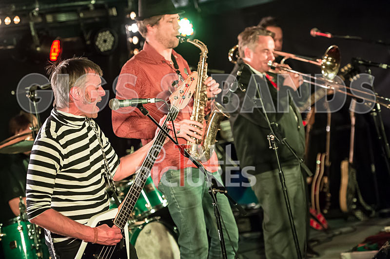 The Risk-335 - THE RISK