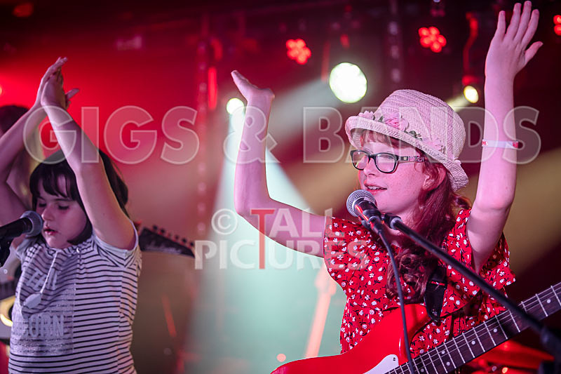 The Flaming Flamingos-21 - THE FLAMING FLAMINGOES