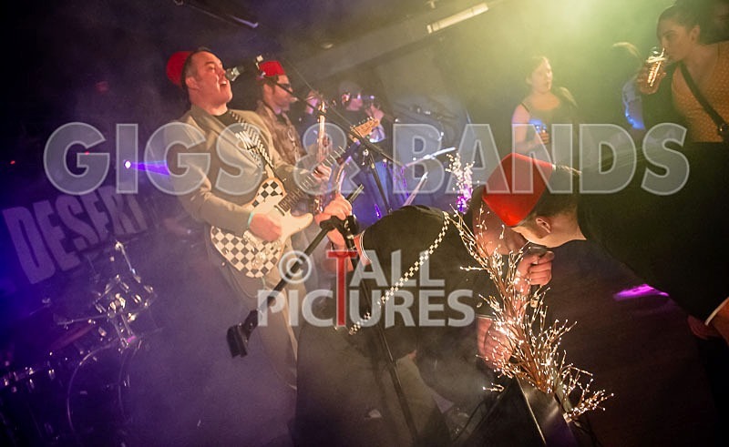 Sons of the Desert-169 - SONS OF THE DESERT