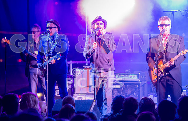 Sons of the Desert-259 - SONS OF THE DESERT