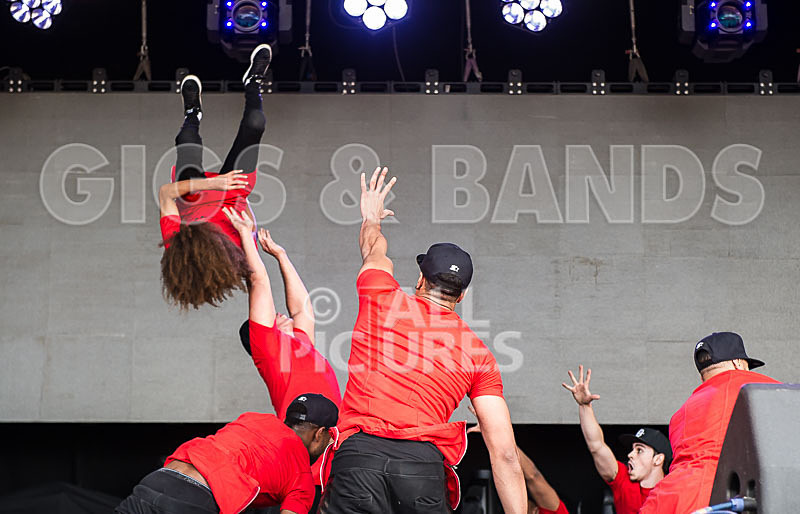 Diversity-26 - DIVERSITY