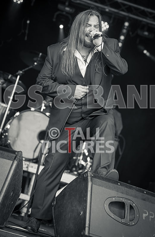 Stone Em All-306 - STONE EM ALL