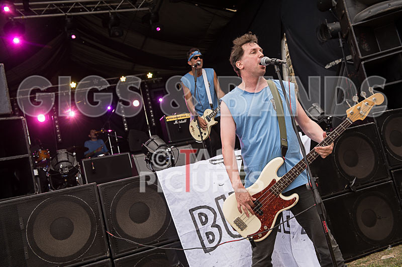 Top Buzzer-62 - TOP BUZZER