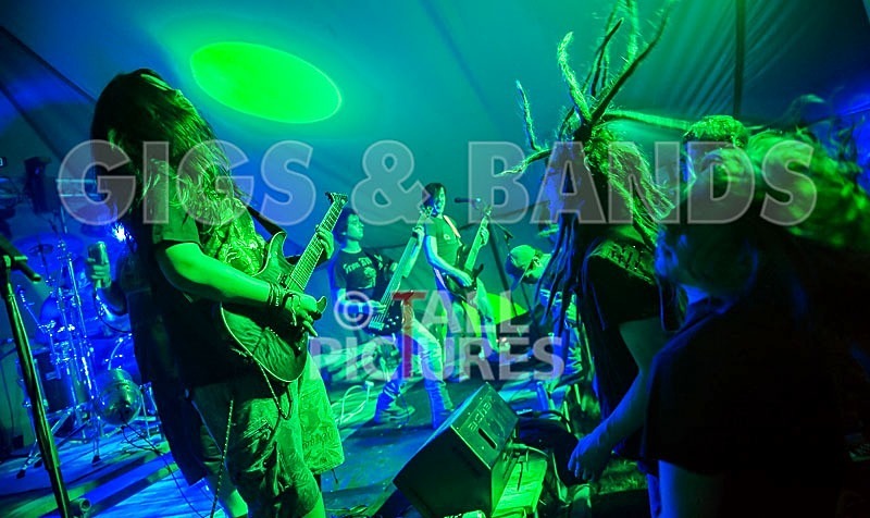 Stone Em All-48 - STONE EM ALL