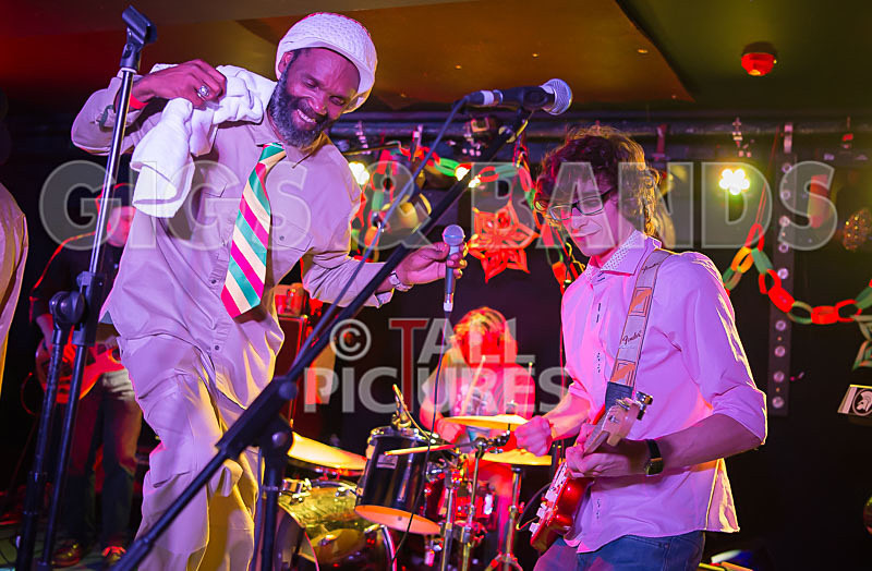 Tall Rich at the Fermain Tavern-1 - TALL RICH