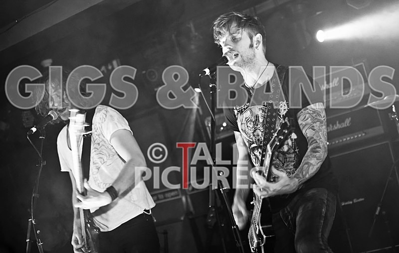 The Crave-37 - THE CRAVE