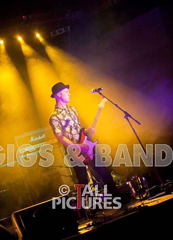 Peppered Ant Legs-2 - PEPPERED ANT LEGS at RoA-3