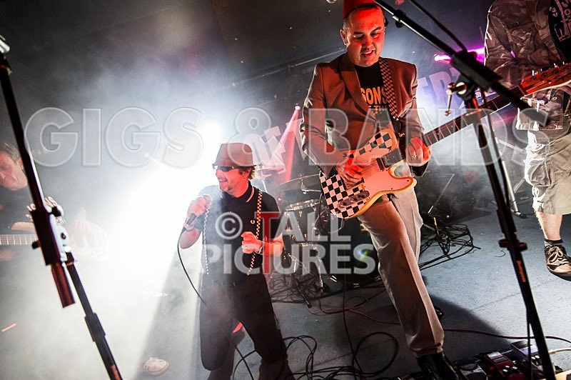 Sons of the Desert-173 - SONS OF THE DESERT