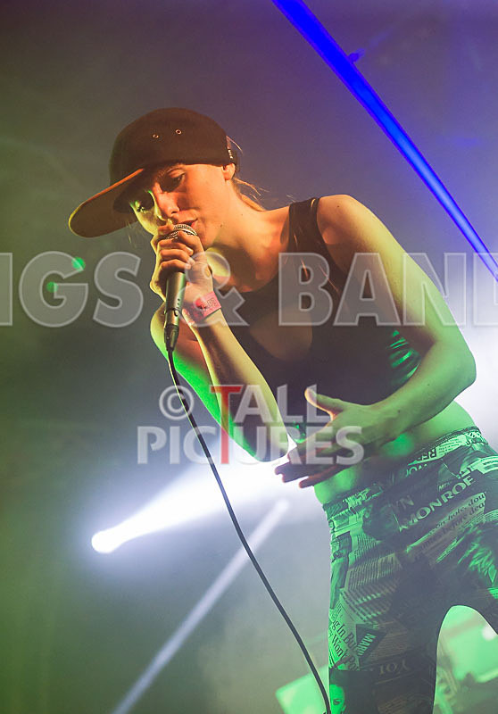 FireFarm-36 - FIREFARM