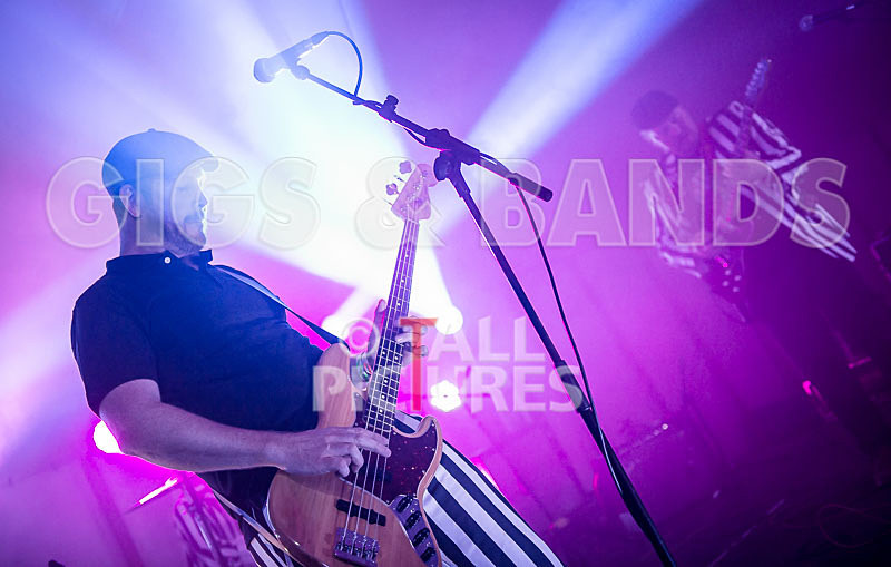 The Smooth Hounds-34 - THE SMOOTH HOUNDS