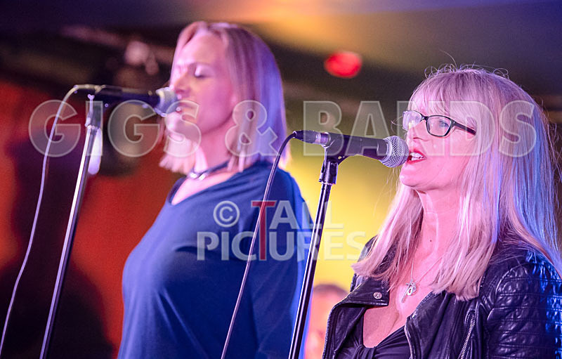 The KB Project-11 - THE KB PROJECT