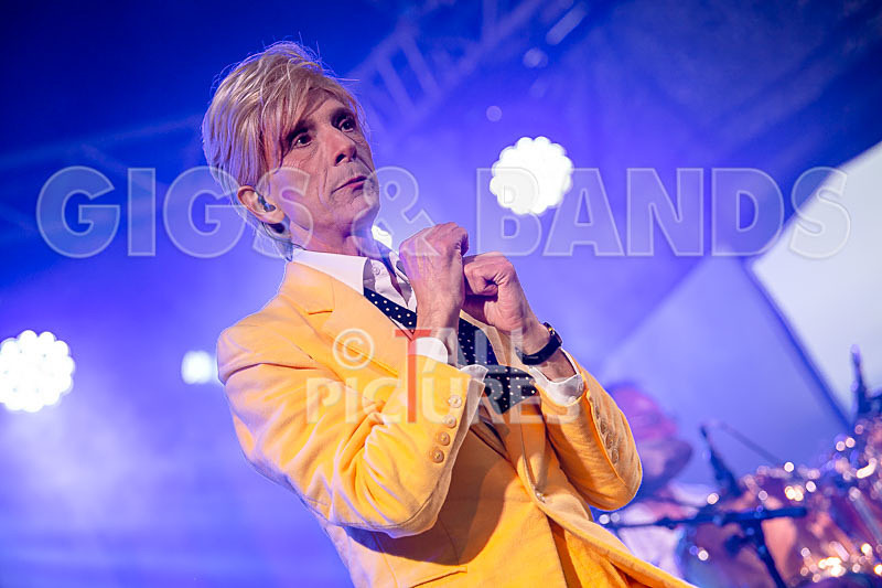 The Bowie Experience-66 - THE BOWIE EXPERIENCE