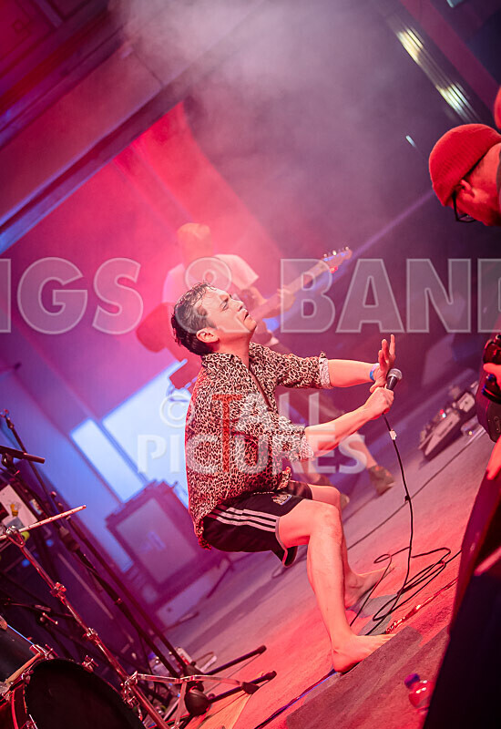 Pigsx7-91 - PIGS PIGS PIGS PIGS PIGS PIGS PIGS