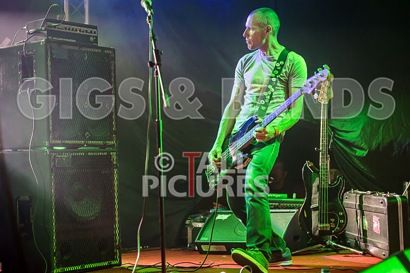 Falenizza Horsepower-80 - FALENIZZA HORSEPOWER