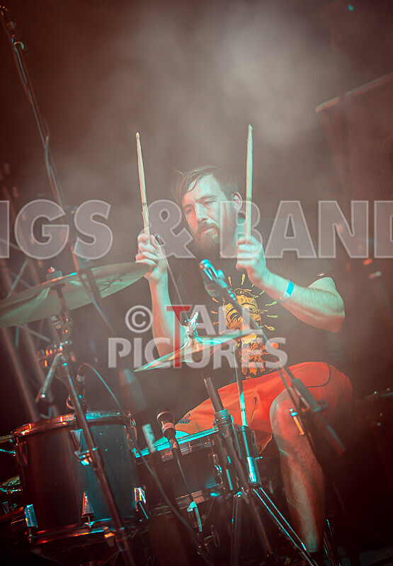 Pigsx7-57 - PIGS PIGS PIGS PIGS PIGS PIGS PIGS