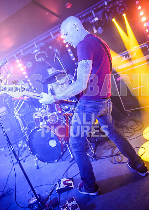 Whitchapel Murders-39 - WHITECHAPEL MURDERS