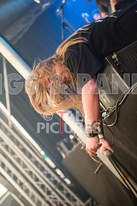 Stone Em All-207 - STONE EM ALL