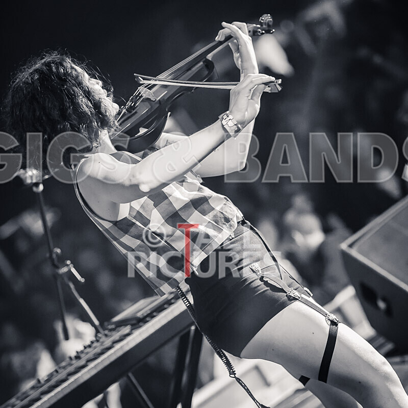 The King Blues-53 - THE KING BLUES