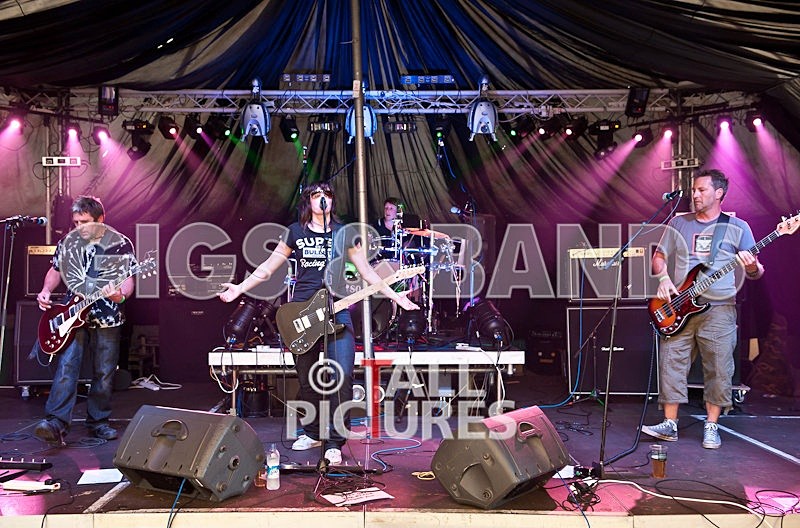 The Nelkons-34 - THE NELKONS at GREENMAN CHAOS 2010