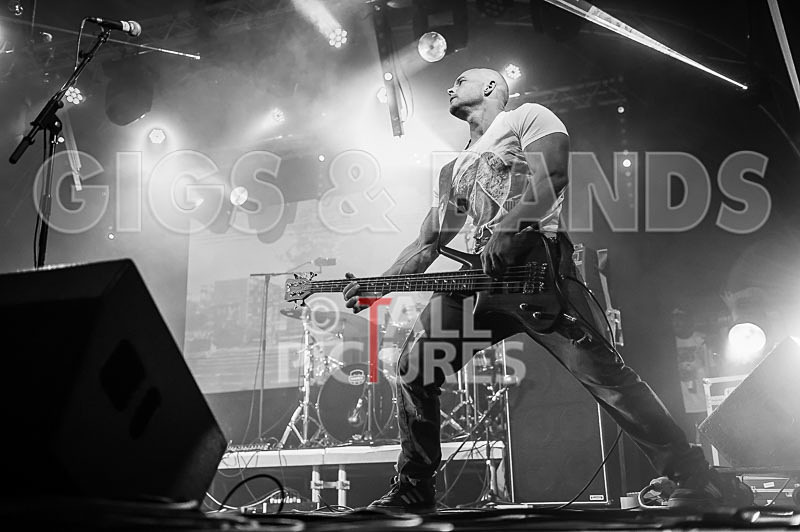 Freestylers-75 - FREESTYLERS