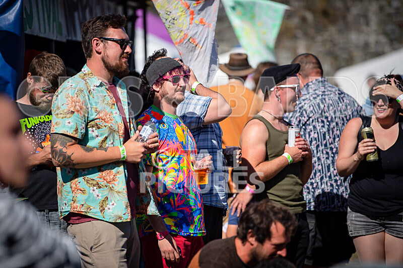 Vale Earth Fair 2020_THE SCENE-48 - VALE EARTH FAIR 2020_THE SCENE