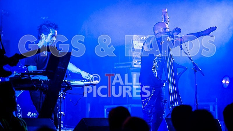 Subsource-8 - SUBSOURCE