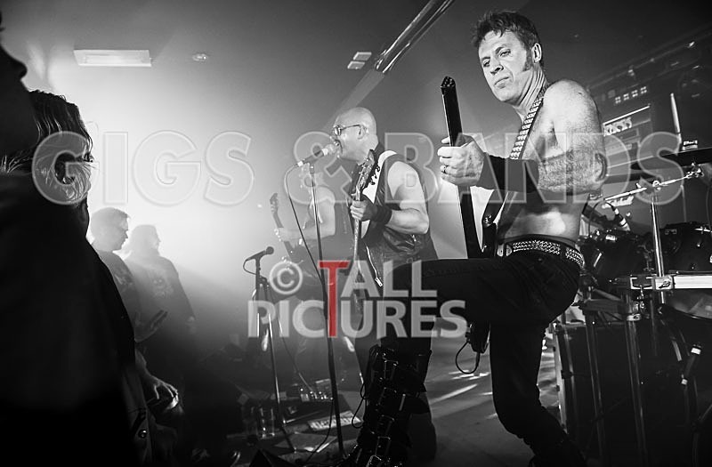 Nemesis-295 - NEMESIS