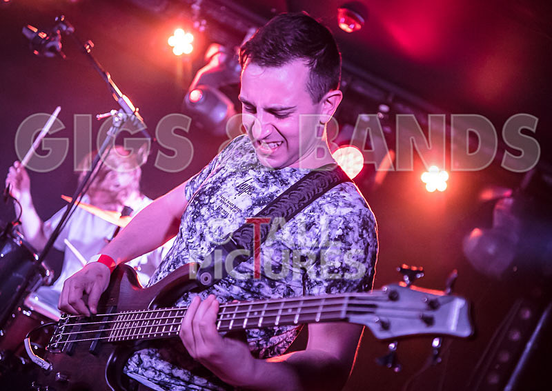 To the Woods-434 - TO THE WOODS