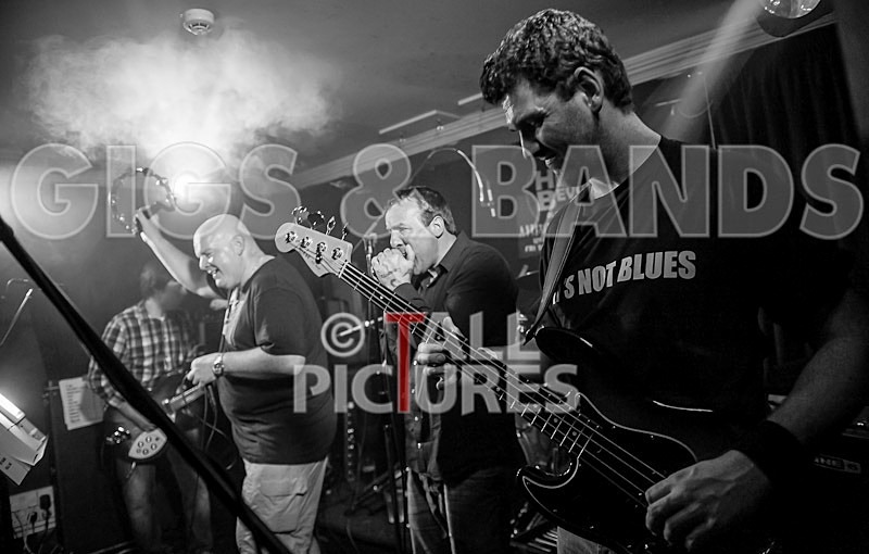 Hevvy Bevvy Blues Band-29 - HEVVY BEVVY BLUES BAND