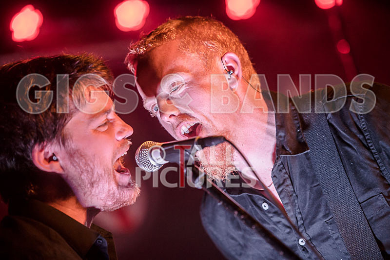 FlashMob-166 - FLASHMOB