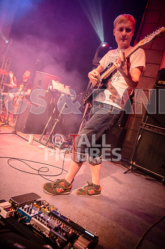 Pigsx7-47 - PIGS PIGS PIGS PIGS PIGS PIGS PIGS