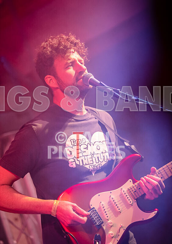 The Tarantulips-5 - THE TARANTULIPS