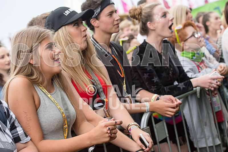 Jersey Live 2016_Scene-108 - JERSEY LIVE 2016_THE SCENE