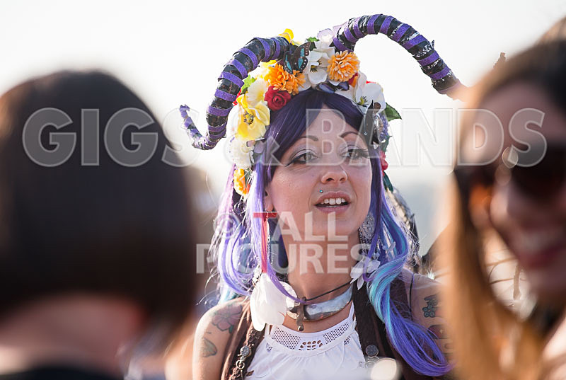 Vale Earth Fair 2017_SCENE-107 - VALE EARTH FAIR 2017_THE SCENE