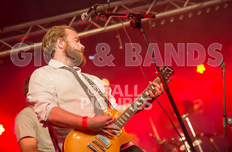 Pirate Party Brigade-20 - PIRATE PARTY BRIGADE