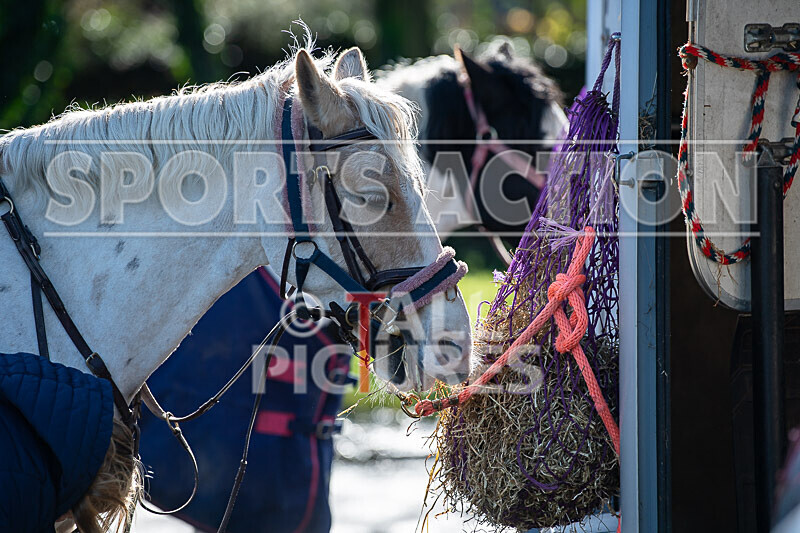 Junior Showjumping_10-11-2019-46 - BS GUERNSEY RALLY 2019-JUNIORS