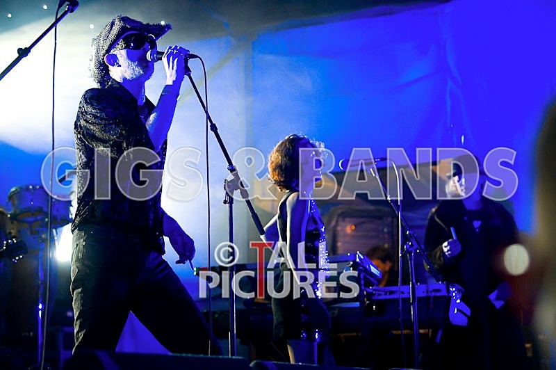 Vale-Earth-77 - VALE EARTH FAIR 2008