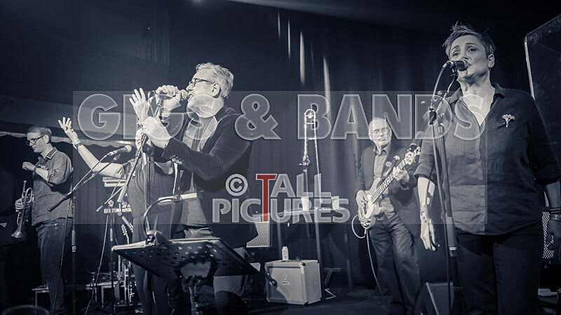 King Rat  the Soul Cats-450 - KING RAT & THE SOUL CATS