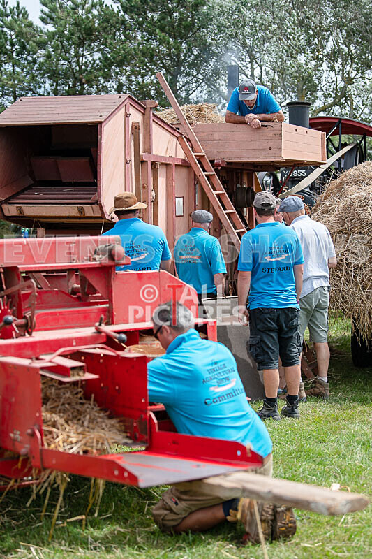 Guernsey Agricultural Show 2021-57 - GUERNSEY AGRICULTURAL SHOW 2021