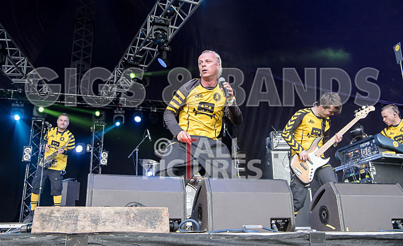 Dubioza Kolektiv-41 - DUBIOZA KOLEKTIV