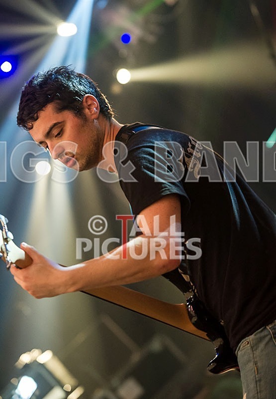 Stone Em All-11 - STONE EM ALL