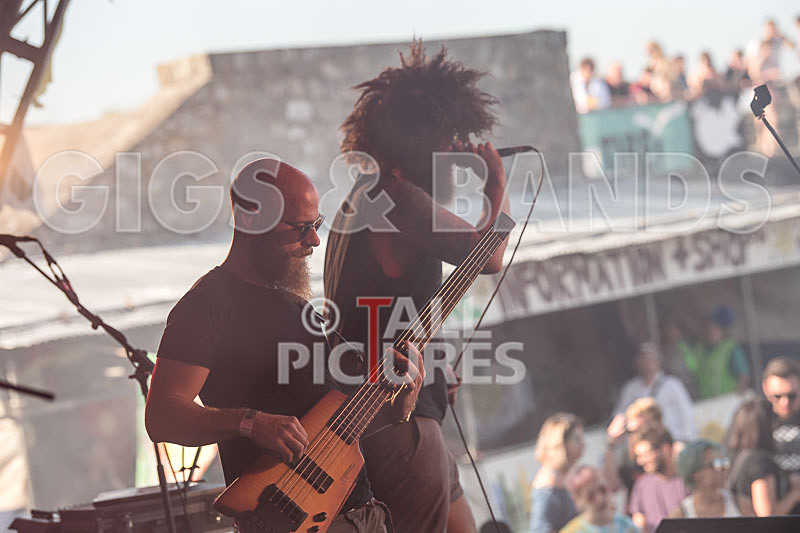 Tree House Fire-32 - TREE HOUSE FIRE