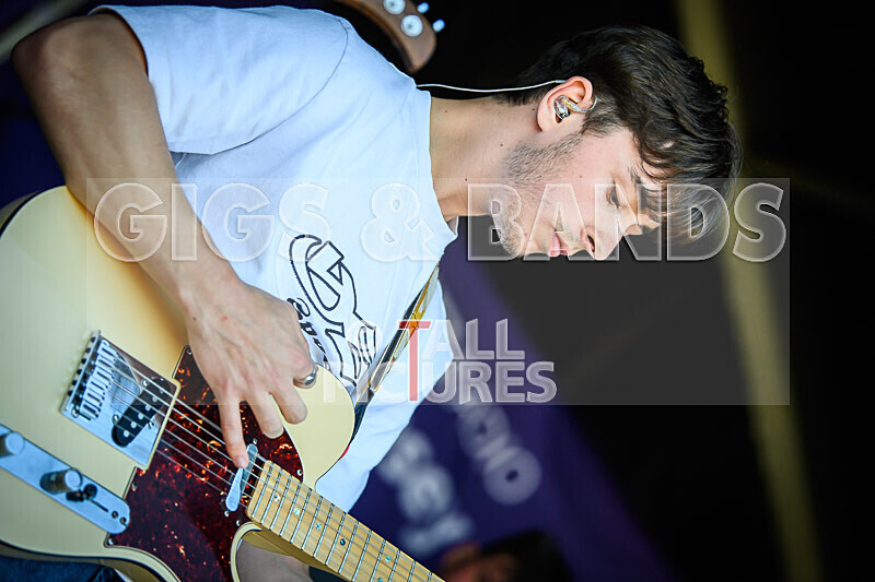 Bloomfield-55 - BLOOMFIELD