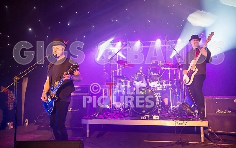 Peppered Ant Legs-151 - PEPPERED ANT LEGS