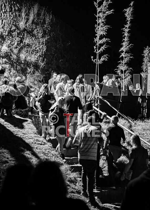 VEF 2021_The Scene-11 - VALE EARTH FAIR 2021_THE SCENE