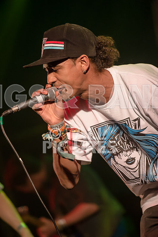 The Mouse Outfit-45 - THE MOUSE OUTFIT