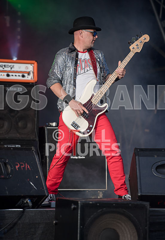 Peppered Ant Legs-246 - PEPPERED ANT LEGS