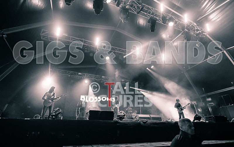 Blossoms-14 - BLOSSOMS