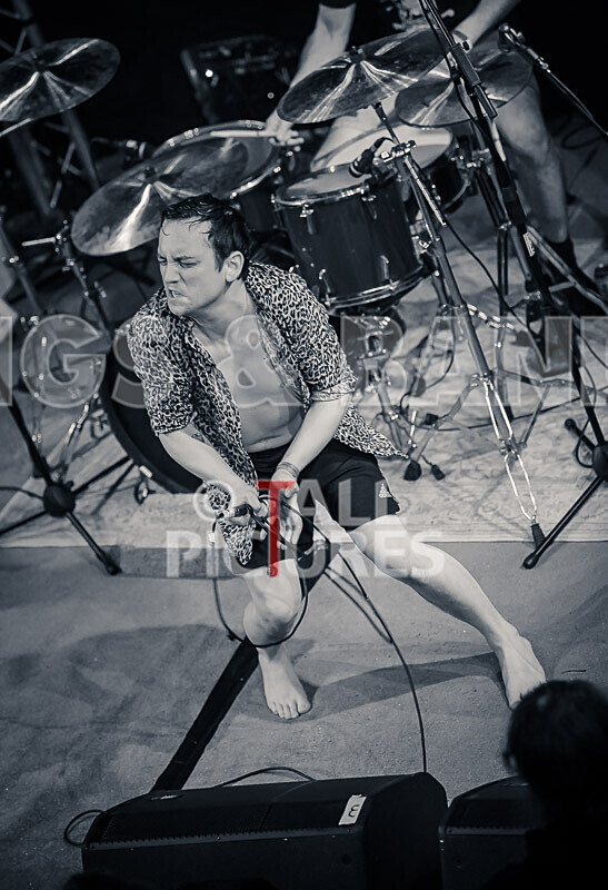 Pigsx7-76 - PIGS PIGS PIGS PIGS PIGS PIGS PIGS