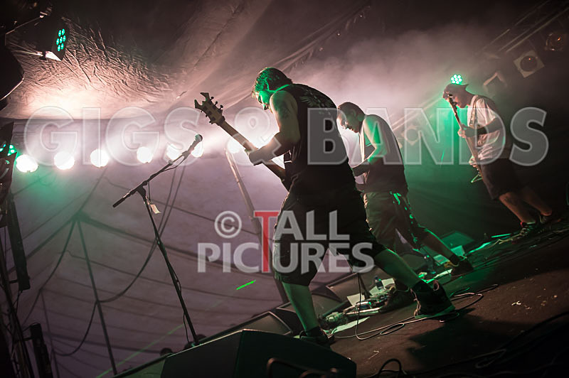 Demise of Sanity-115 - DEMISE OF SANITY